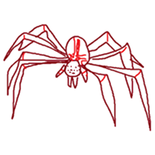 Venenatis spiderling image