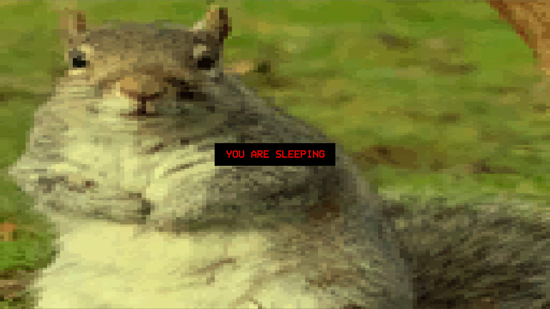 Screenshot of the game